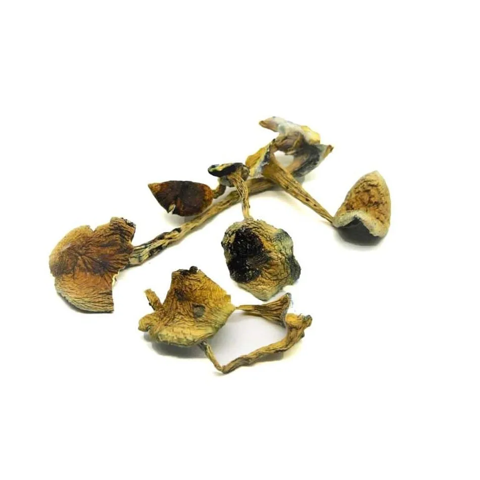 B-Plus-Mushrooms.jpeg